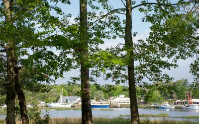 New Devaun Park Community Website